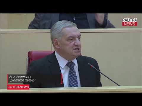 გია ვოლსკი - წინასაარჩევნო ბატალიები გლადიატორების ბრძოლას დაემსგავსა