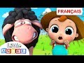 Baa Baa Mouton Noir en Français | Comptines pour Bébés et | Little Angel Français