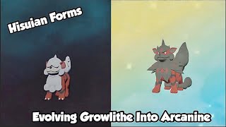 Evolving Hisuian Growlithe Into Hisuian Arcanine - Pokemon Legends: Arceus