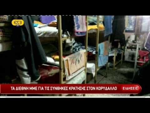 Βίντεο: Φτέρες στο σπίτι: συνθήκες κράτησης