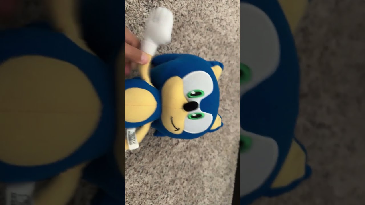 I M Wet Cold There S A Hundred Sonic Sonicmovieplush Funny Memes Phineasandferbtheme