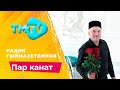 Радик Гыймазетдинов - Пар канат / лучшие татарские песни / тмтв