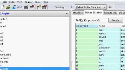 Java prog#103  How to change Jtable columns title different from database column title