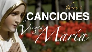 1 hora de CANCIONES A LA VIRGEN MARIA. Parte 2. Gladys Garcete