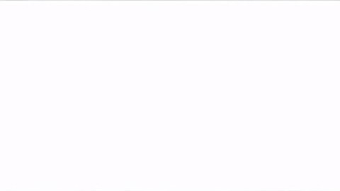 Panzoid full intro full screen