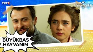 Geldiğimizden Beridir Laf Sokuyorsun - Leyla Ile Mecnun Özel Sahneler