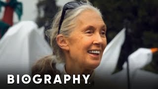 Jane Goodall  Animal Rights Activist | Mini Bio | BIO