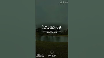 #قران_كريم #اكسبلور #elmulquranعلم #المصحف #تلاوة_خاشعة #راحة_نفسية #الرحمن