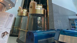 Stunning Gold Glass Schindler 300A traction “main” elevators @ The Showcase