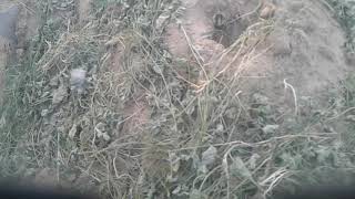 Teletubbies Remake Episode Winter Dreams3