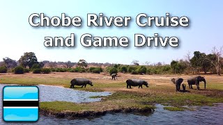 Chobe River Cruise and Game Drive | Botswana 🇧🇼