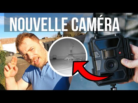 Reste-t-il des rats ? Test à la mousse et caméra PestCam
