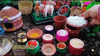 Miniature Tomato Rice Recipe | Simple Tomato Rice Recipe | Miniature Spicy Tomato Rice |Tomato Pulao