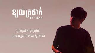 ខ្យល់ត្រជាក់   Tena  Video lyric  Khmer Original song 2021
