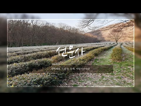 선운사/ 새벽예불/ 동백꽃/도솔산낙조/ 미당시문학관/육자배기/ 국화옆에서/실버의건강한삶