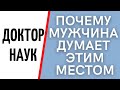 Почему мужчина думает этим местом