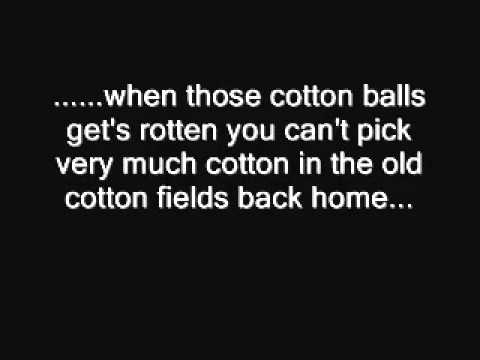 CCR   cotton fields lyrics