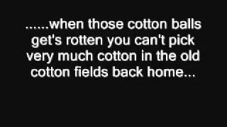 Video thumbnail of "CCR   cotton fields lyrics"