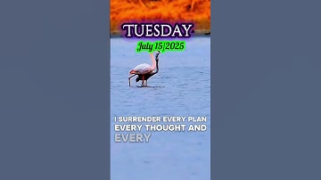 Thumbnail of July 15, 2025