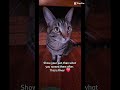 first, show me your pet, then what is it named after