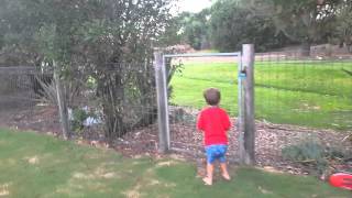 Easter hunt 2016