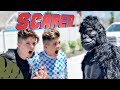 Scaring People in Gorilla Suits Challenge! 😂 | The Mikesell Family