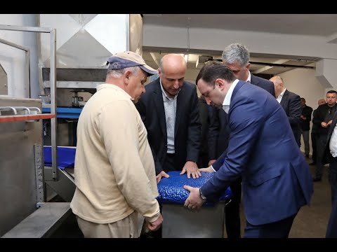 თხილის გადამამუშავებელი საწარმოს დათვალიერება სოფელ ივანდიდში