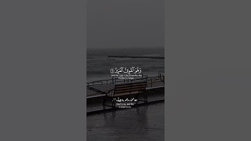 تلاوة من سورة الشورى #القرآن_الكريم #قرآن #ستوريات #قرآن