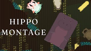 Hippo Montage Deeeep.io Swampy Shores