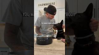 What a professional dog trainer feeds his dogs!!🤍