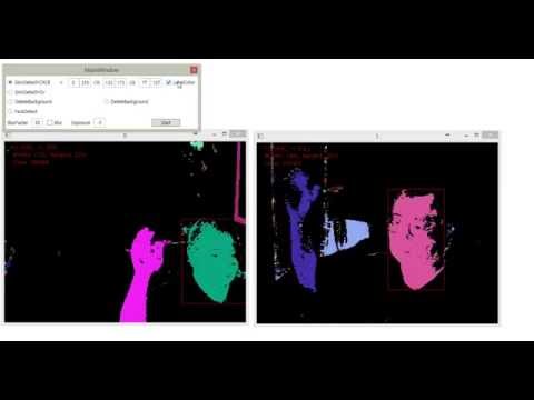 OpenCVSharp Labeling, Detect Skin, Detect Face, Delete Background.