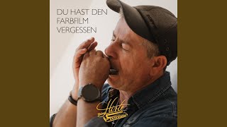Du hast den Farbfilm vergessen - Michael Hirte