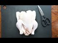 Beginning of video