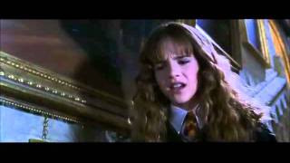 hermione granger 2nd 3rd