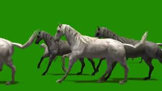 Green Screen Running Horse | Free To Use
