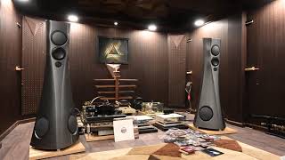 Home visit an audiophile in Biên Hòa (Estelon, Wavac, Burmester)