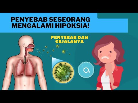 Video: Hipoksia Otak - Penyebab, Gejala, Pengobatan