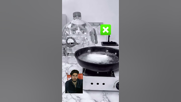 🍳 Discover Puff's latest kitchen hack that will blow your mind! #PuffTheChef #thatlittlepuff
