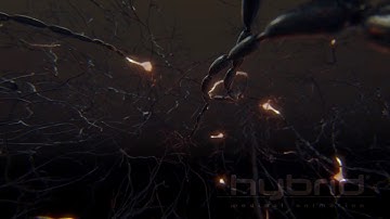 Dopaminergic neurons