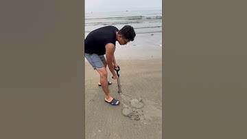 Bị Lỗi Khi Bắt Tôm Tích #shorts