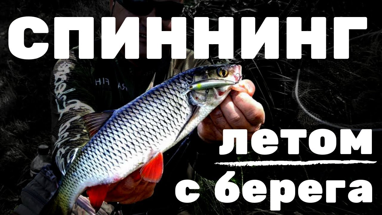 ЛОВИМ «ЗЕМЛЯНИЧНЫХ» ОКУНЕЙ| Ловля на спиннинг летом с берега|Тест Crazy ...