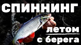 ЛОВИМ «ЗЕМЛЯНИЧНЫХ» ОКУНЕЙ| Ловля на спиннинг летом с берега|Тест Crazy Fish Levin 6'6" L-T