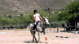 Back To The Basics - The Posting Trot