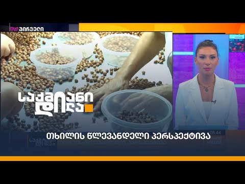 #Forbesკვირა: თხილის წლევანდელი პერსპექტივა