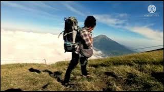 Sang Penghibur Story WA
