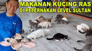 MEWAH BANGET : MAKANAN KUCING DI PETERNAKAN LEVEL SULTAN