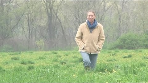 Sardina Landowner Loses In Pipeline Case