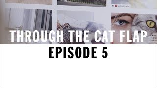 Designer Breeds | Through The Cat Flap | S1 | Episode 5