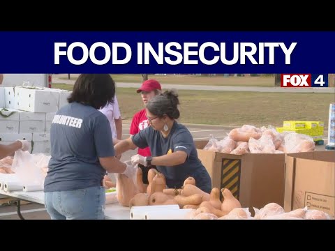 1 in 4 Dallas children faces food insecurity study finds
