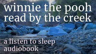 Winnie The Pooh read by a mountain creek